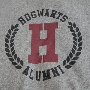 Harry Potter Hogwarts Alumni Gray Crew Neck Sweatshirt size Med Wizzards Witches